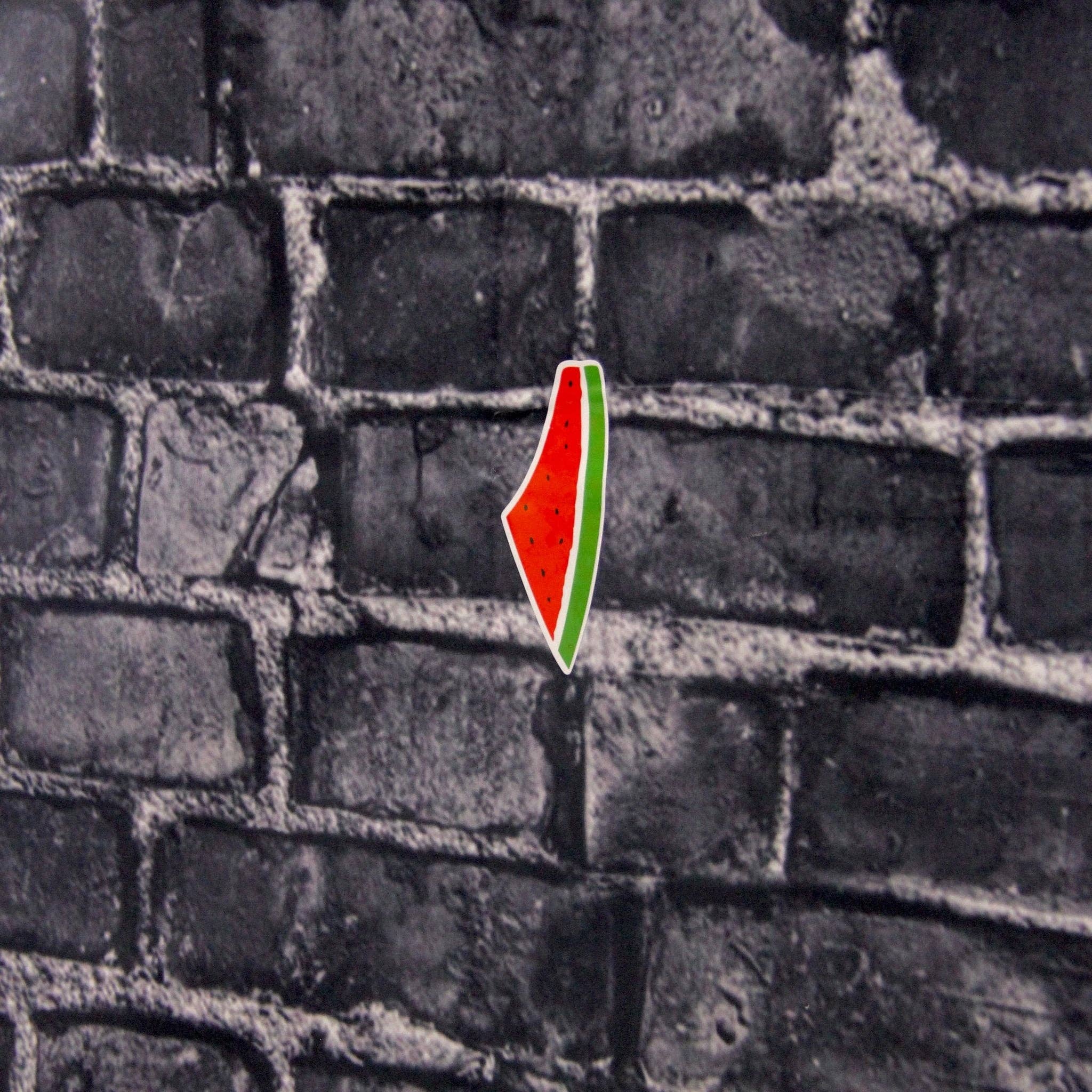 Freedom Melon Sticker - The Kindness Cause