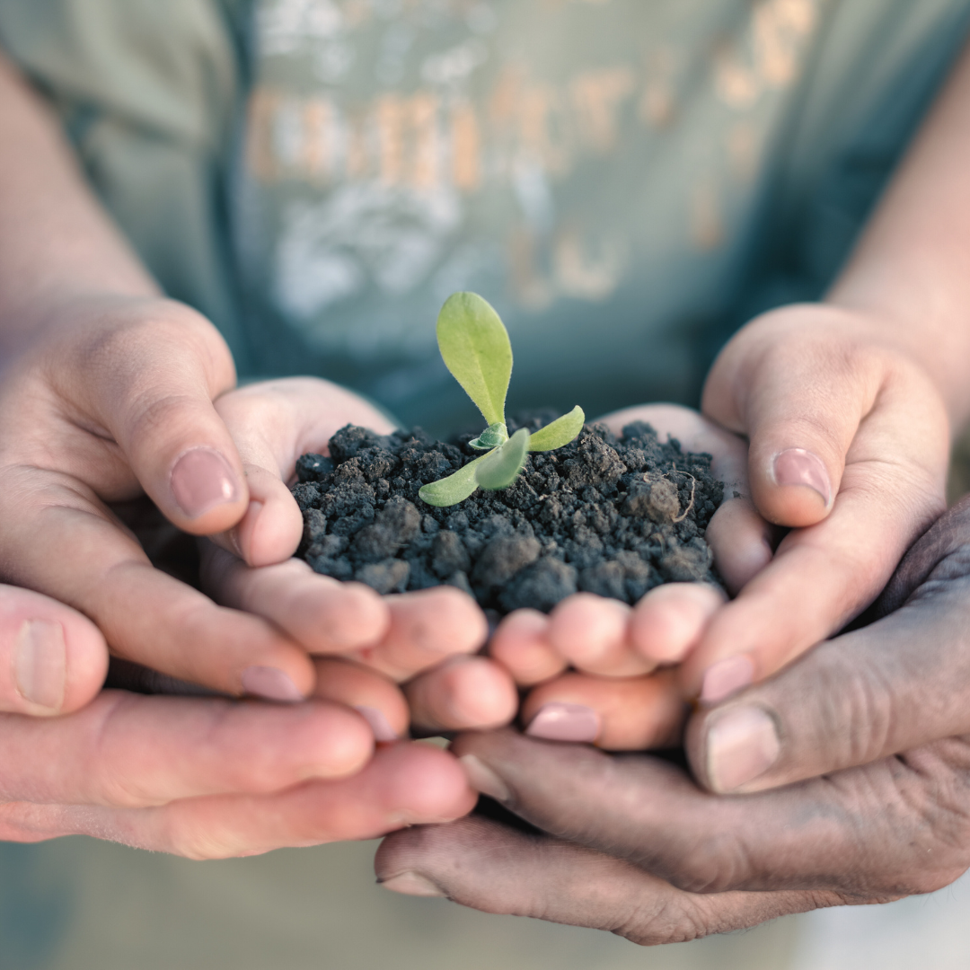 Shop in Support of Environmental Protection & Plant Trees with One Tree Planted | The Kindness Cause