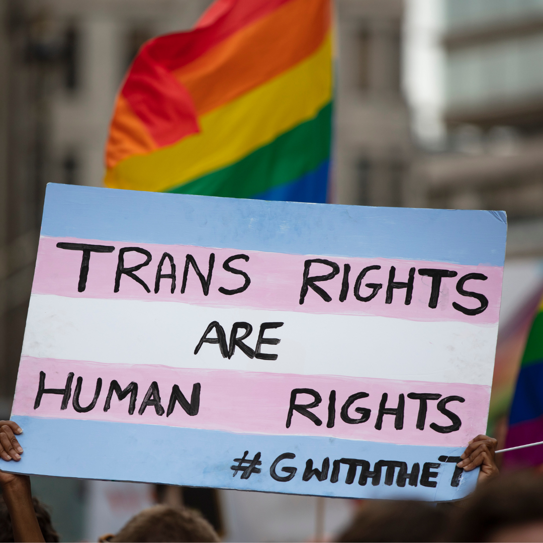 Trans Rights Are Human Rights Protester Sign - Contact your legislators in support of the LGBTQIA+ community