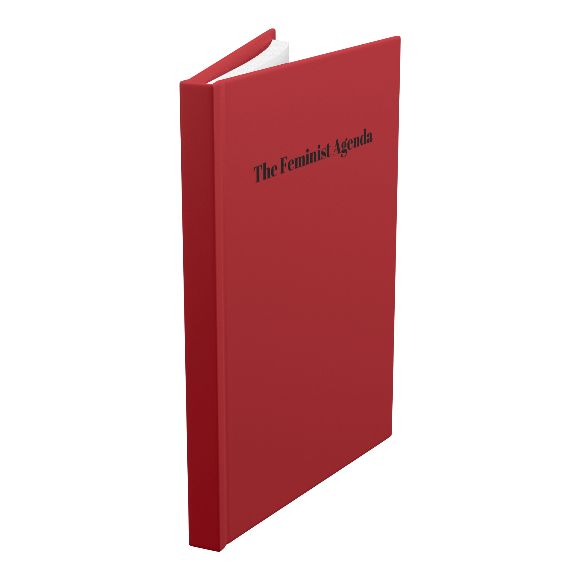 The_Feminist_Agenda_Hardcover_Notebook_Standing_Angle_Mockup.png