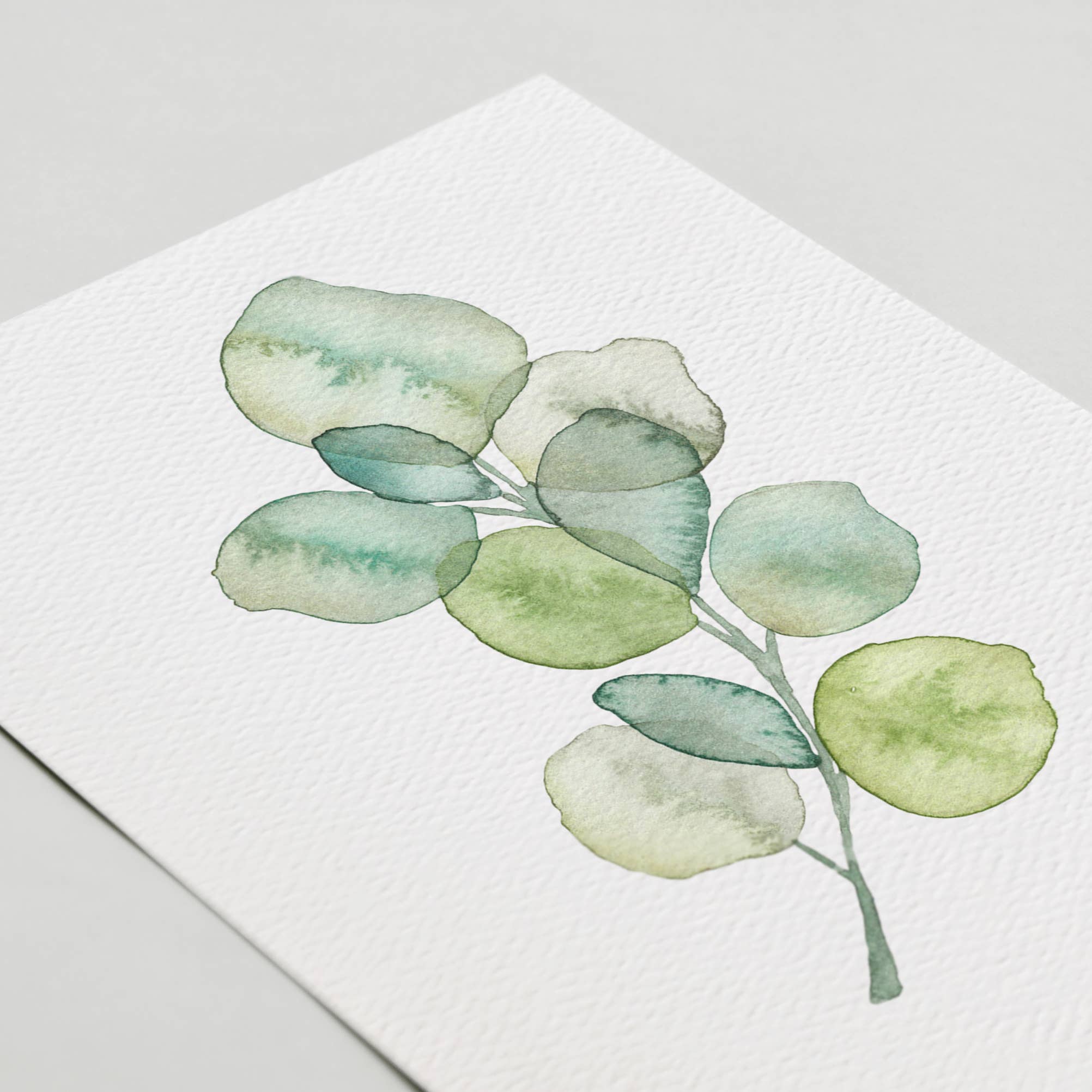 Botanical Plant Greeting Cards Set of 6 - The Kindness Cause