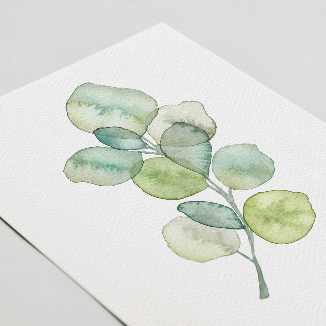 Botanical Plant Greeting Cards Set of 6 - The Kindness Cause