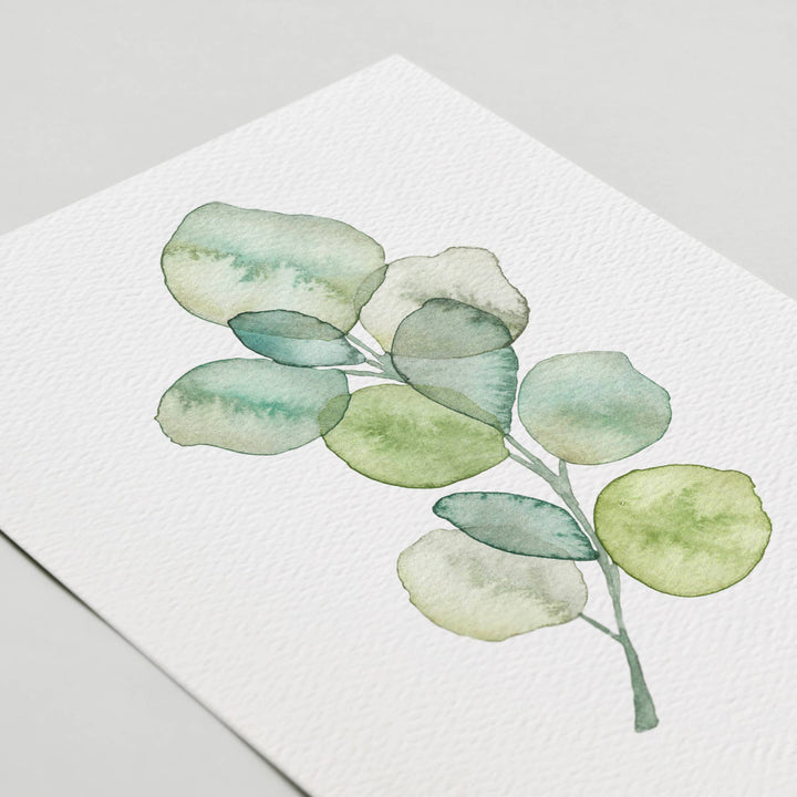 Botanical Plant Greeting Cards Set of 6 - The Kindness Cause