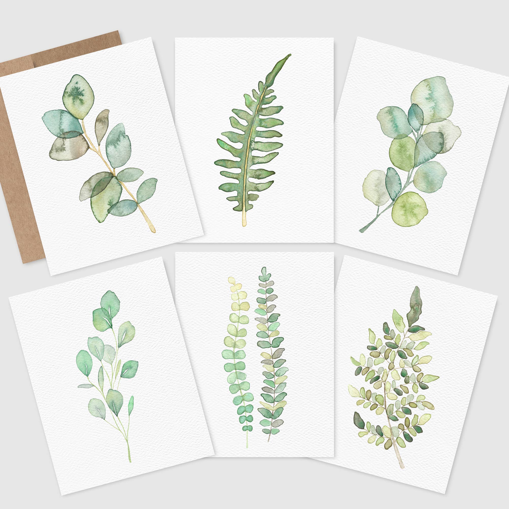 Botanical Plant Greeting Cards Set of 6 - The Kindness Cause
