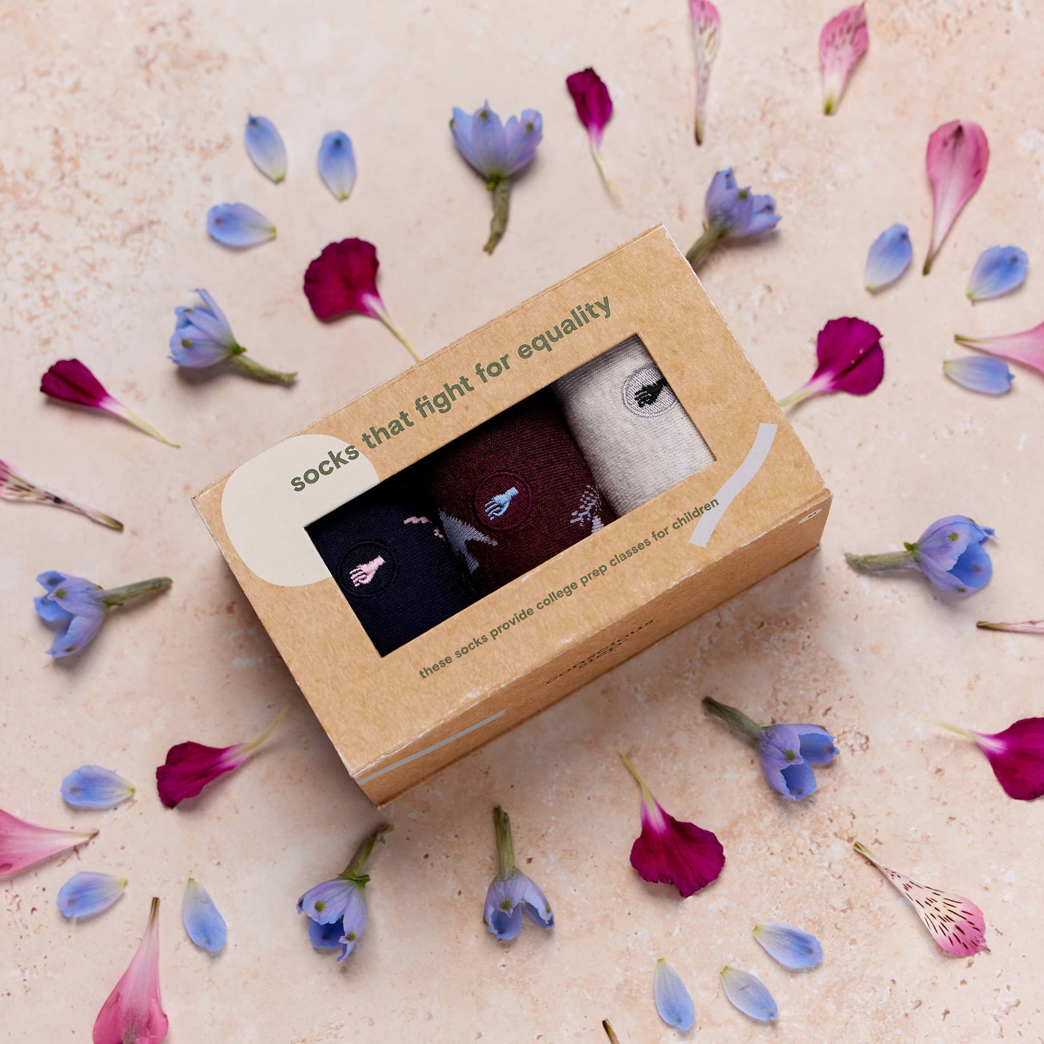 Boxed Set Socks that Fight for Equality - The Kindness Cause