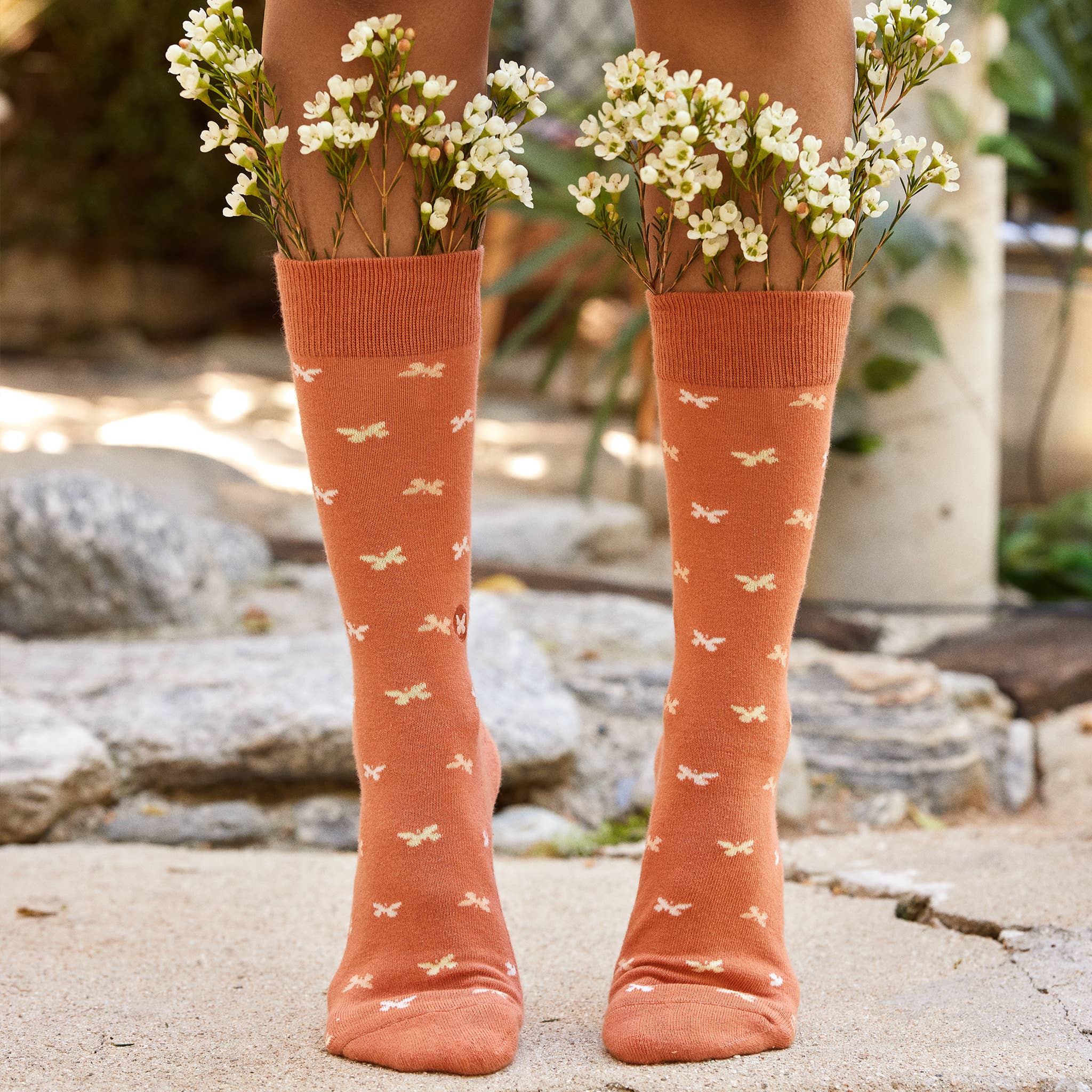Boxed Set Socks that Stop Violence Against Women - The Kindness Cause