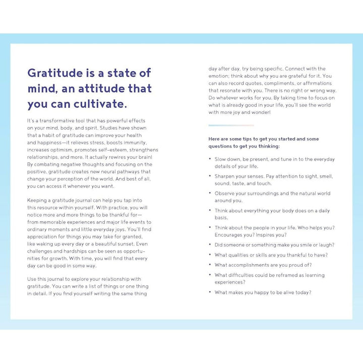 Gratitude One Line a Day: A Three - Year Memory Book - The Kindness Cause