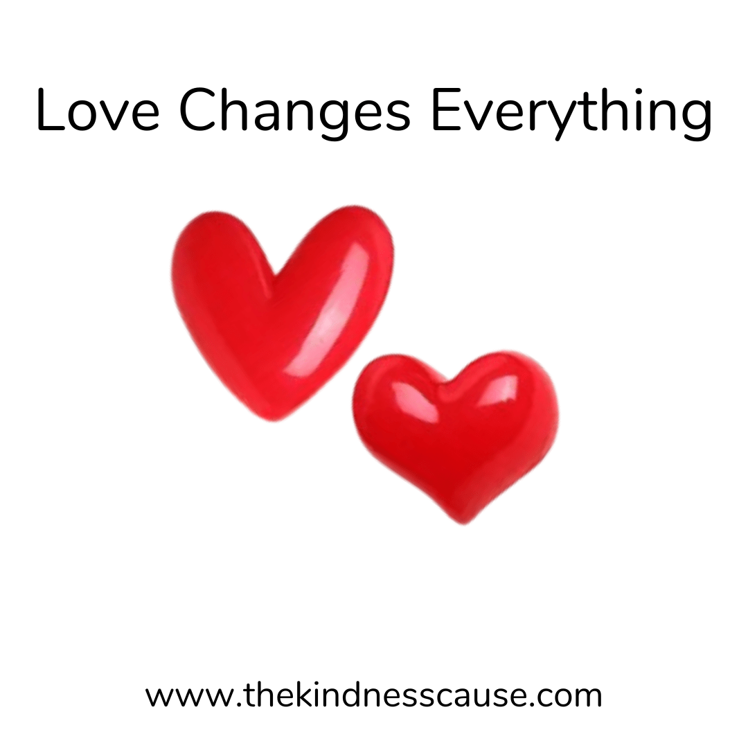 Love Changes Everything Set of 2 Heart Resin Lapel Pins - The Kindness Cause