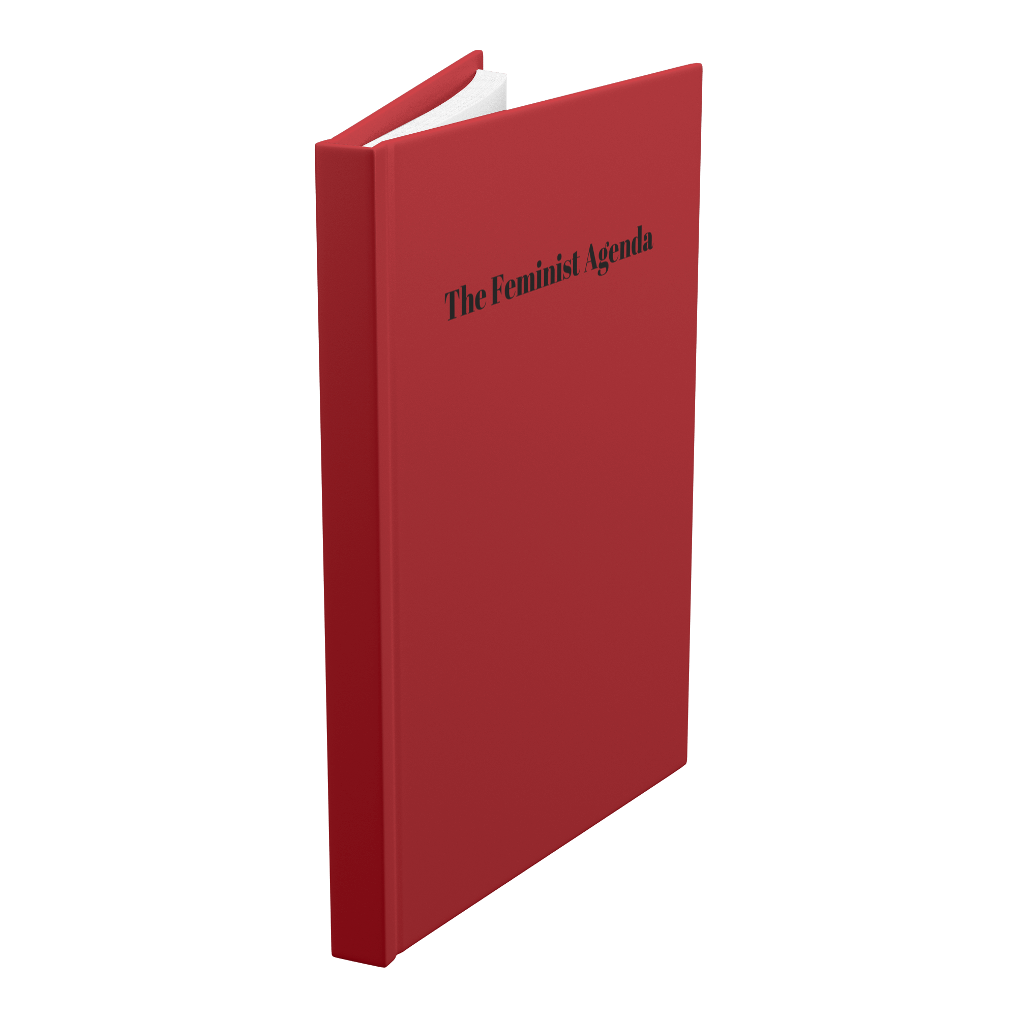 The Feminist Agenda Hardcover Notebook - The Kindness Cause