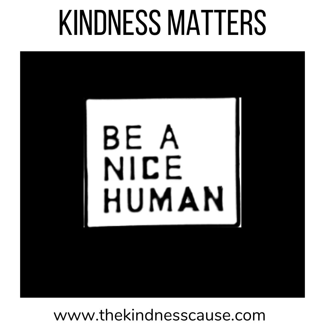 Be Kind &amp; Be A Nice Human Enamel Pins - The Kindness Cause