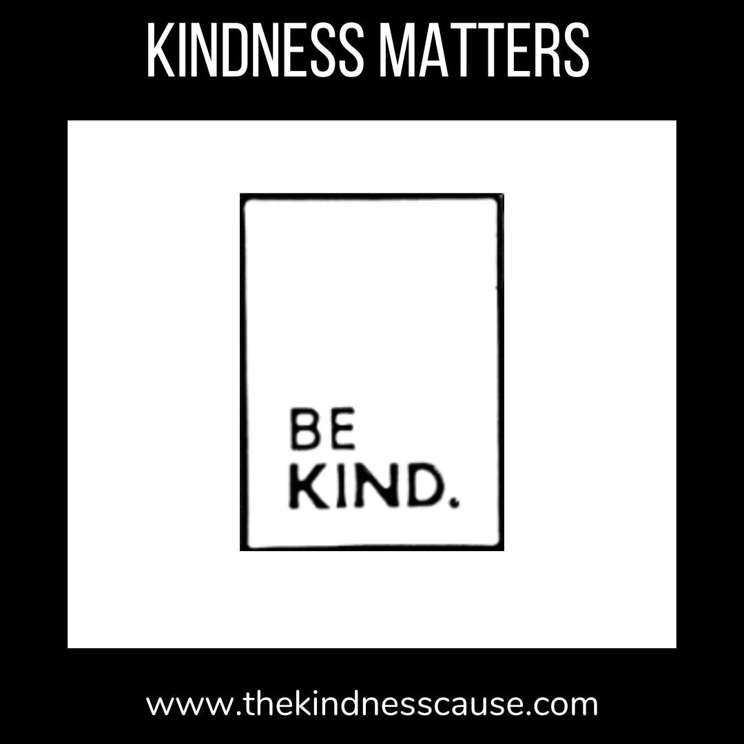 Be Kind &amp; Be A Nice Human Enamel Pins - The Kindness Cause